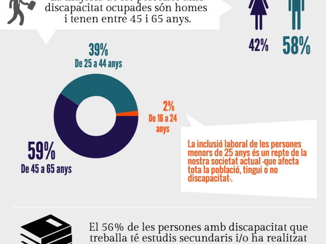 Característiques de la població amb discapacitat ocupada